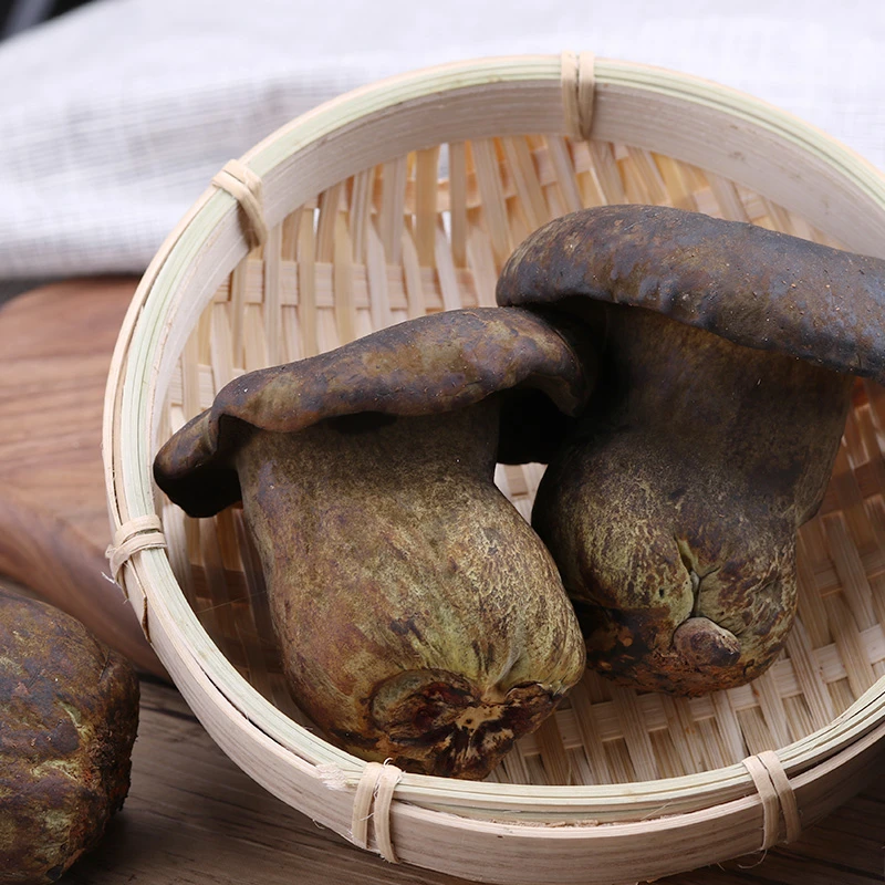 【黑牛肝】云南特产新鲜种植黑牛肝菌食用菌大脚菇蘑菇500g
