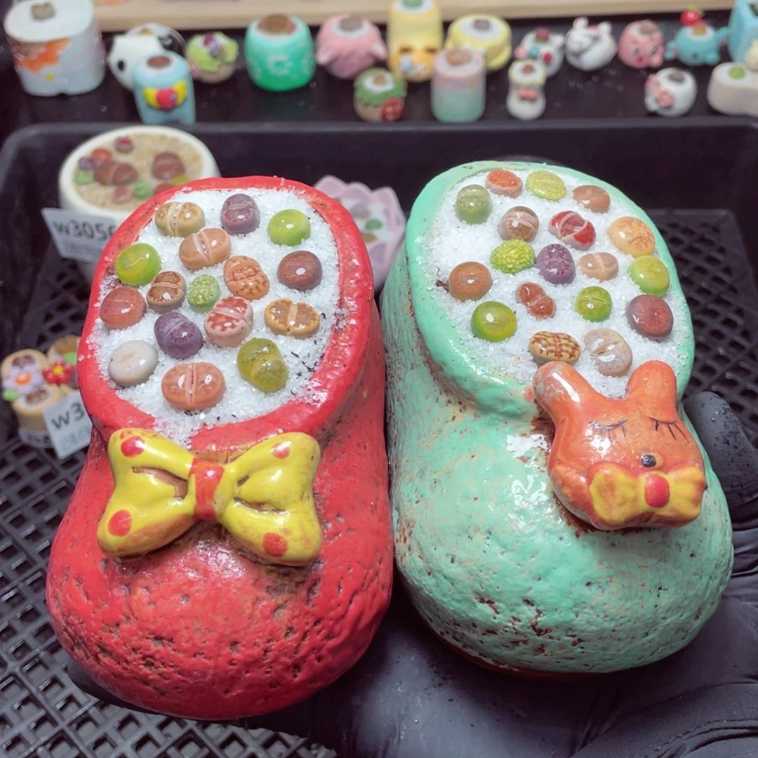 w3062--带盆土发货，零下地区拍保温箱