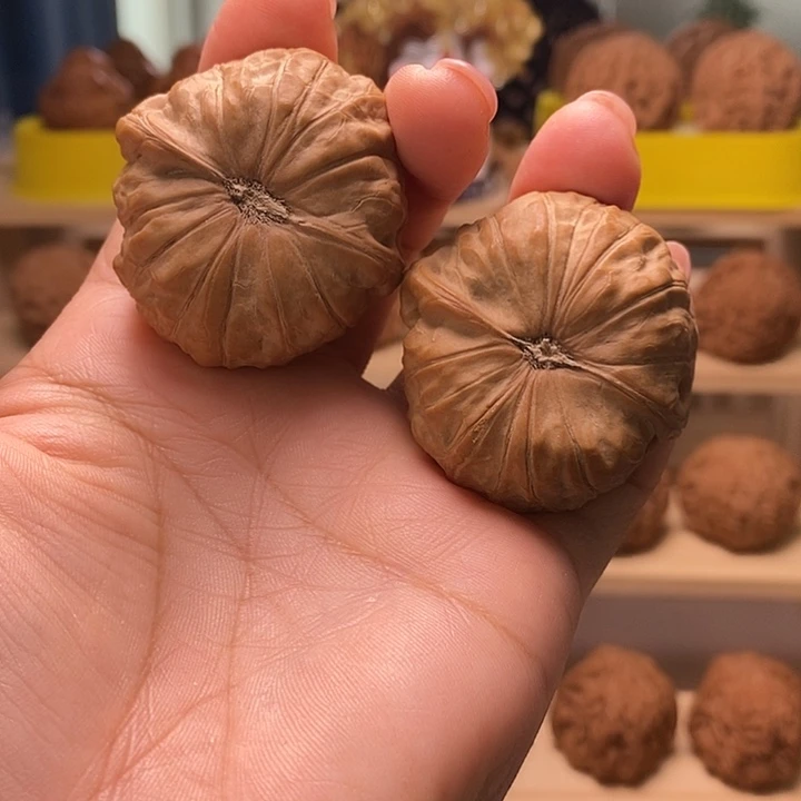 核桃42尺寸的南瓜