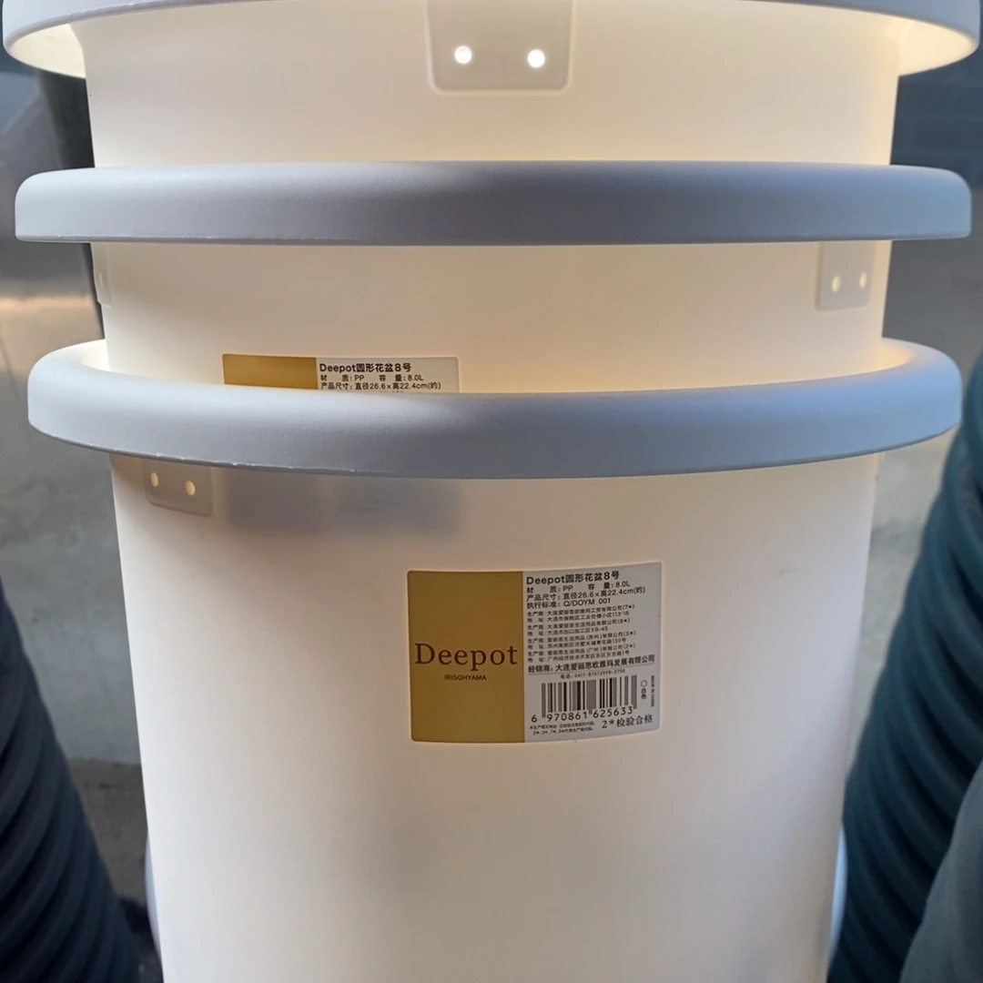 树脂3个26.6口白爱丽丝无托