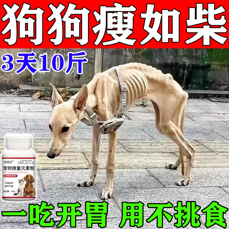 狗狗不吃饭怎么办宠物没精神开胃助消化消食片挑食厌食调理肠胃