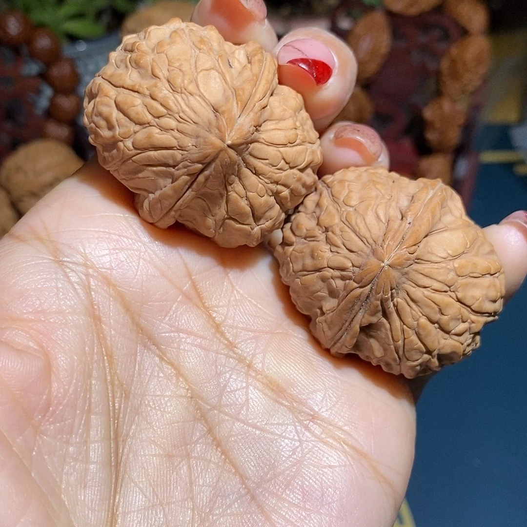 文玩核桃把件龟甲39.5