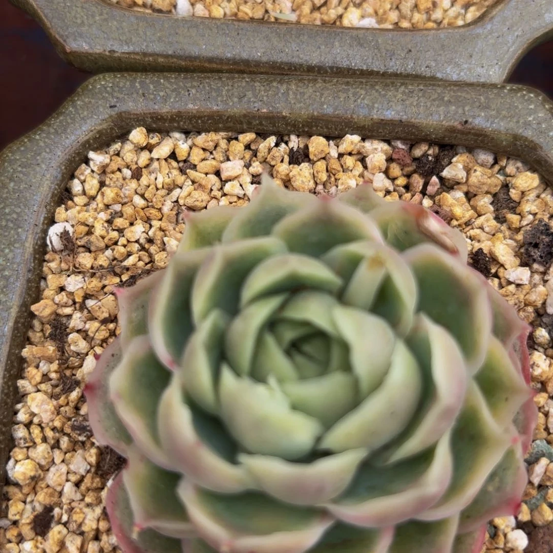 哈哈哈哈哈哈哈哈哈