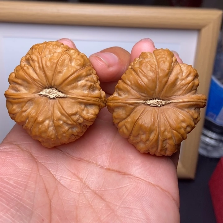 核桃全品小南瓜墩