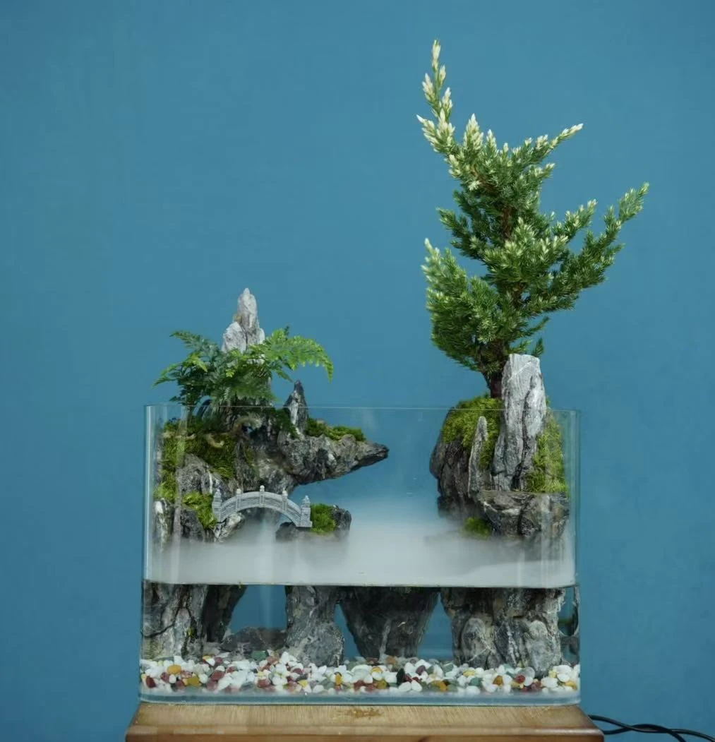 观沧海-30方室内桌面景观真实绿植造景创意微景观养鱼桌面绿植