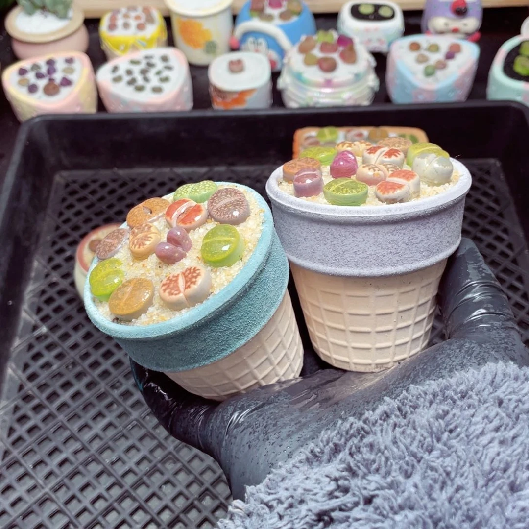 w5548-冰淇凌速干，一份一盆量拍