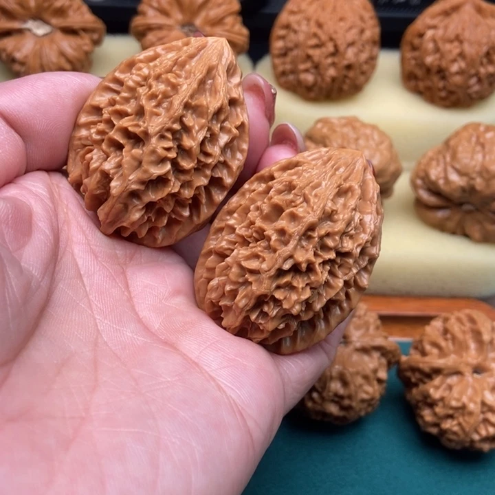 招财鼠36尺已打底……30