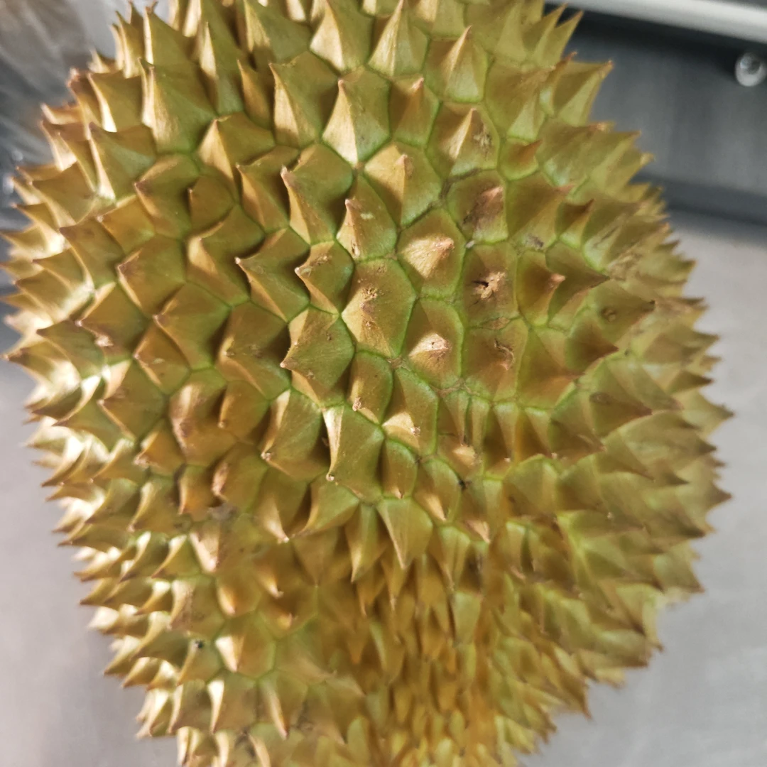 越南新鲜金枕榴莲核小-5.9斤金枕越南