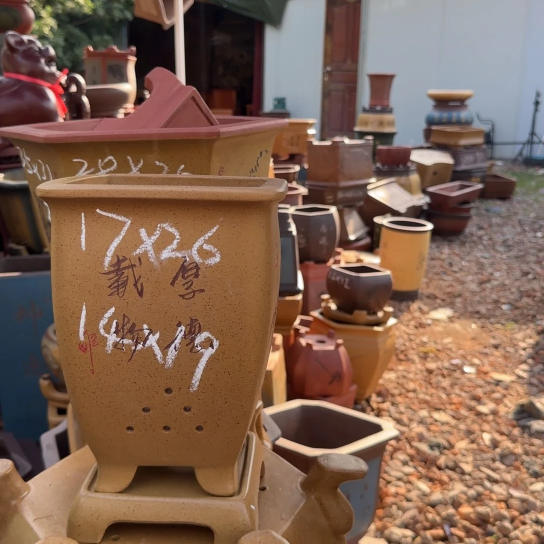 紫砂花盆紫砂花盆花盆盆景盆栽