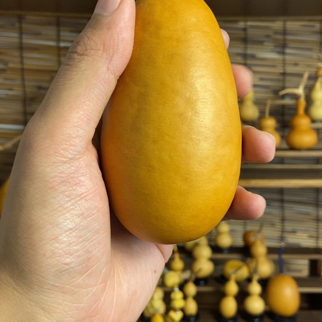 lllllllll一物一拍013