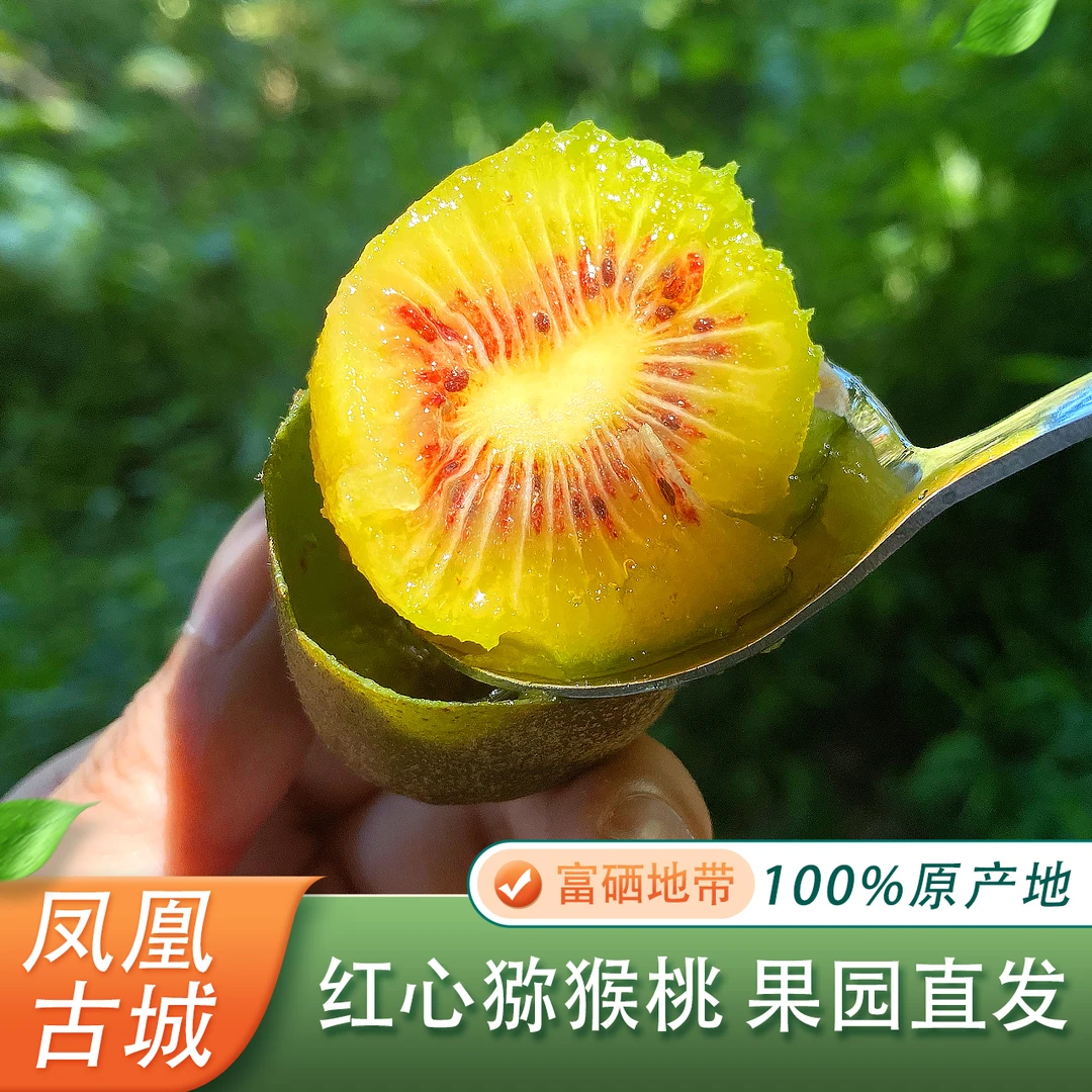 凤凰古城本地红心猕猴桃奇异果维C之王水果孕妇老少皆宜