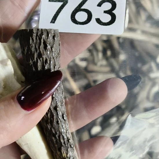 辛***申鹿角鹿角鹿角鹿角鹿角鹿角