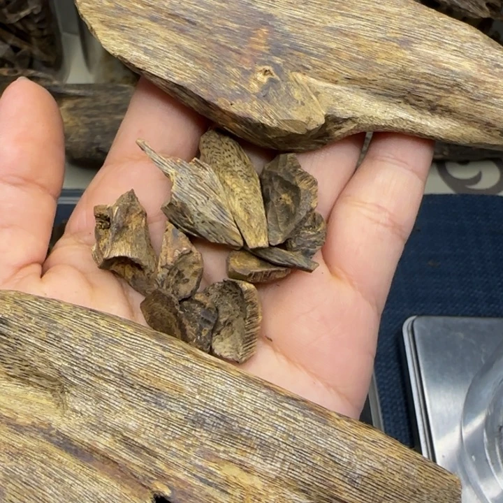 楠木帮奇楠熏香料陆河31克+树丁6克