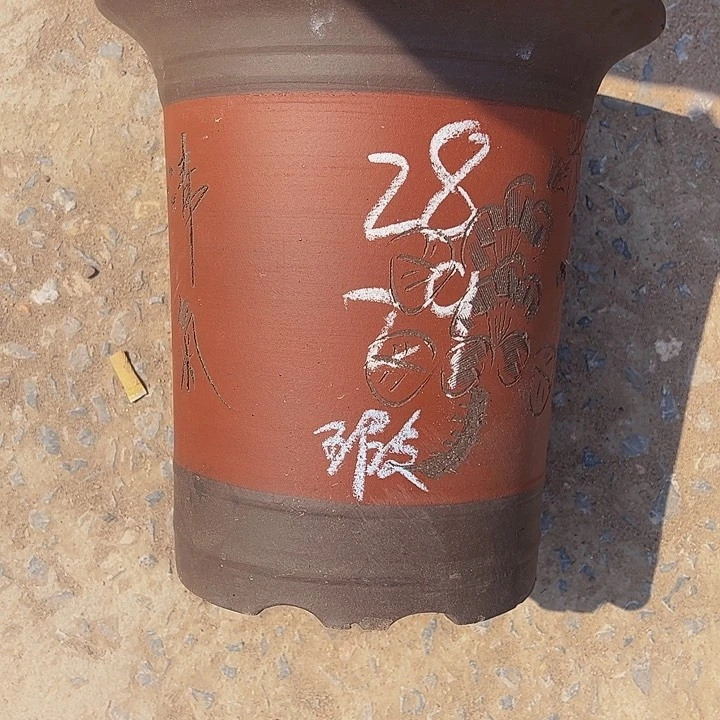 红陶紫砂艺术学院