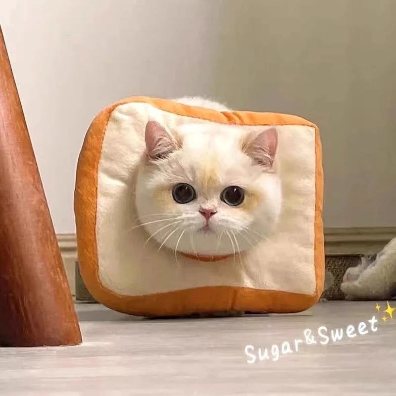 伊丽莎白圈小猫绝育柔软项圈可调节可吃饭猫咪狗狗防舔神器脖圈HR