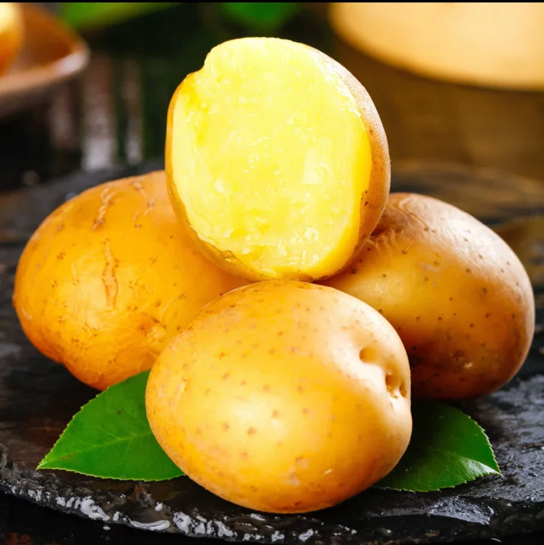 迷你小土豆 海丰大嶂村本地农产品