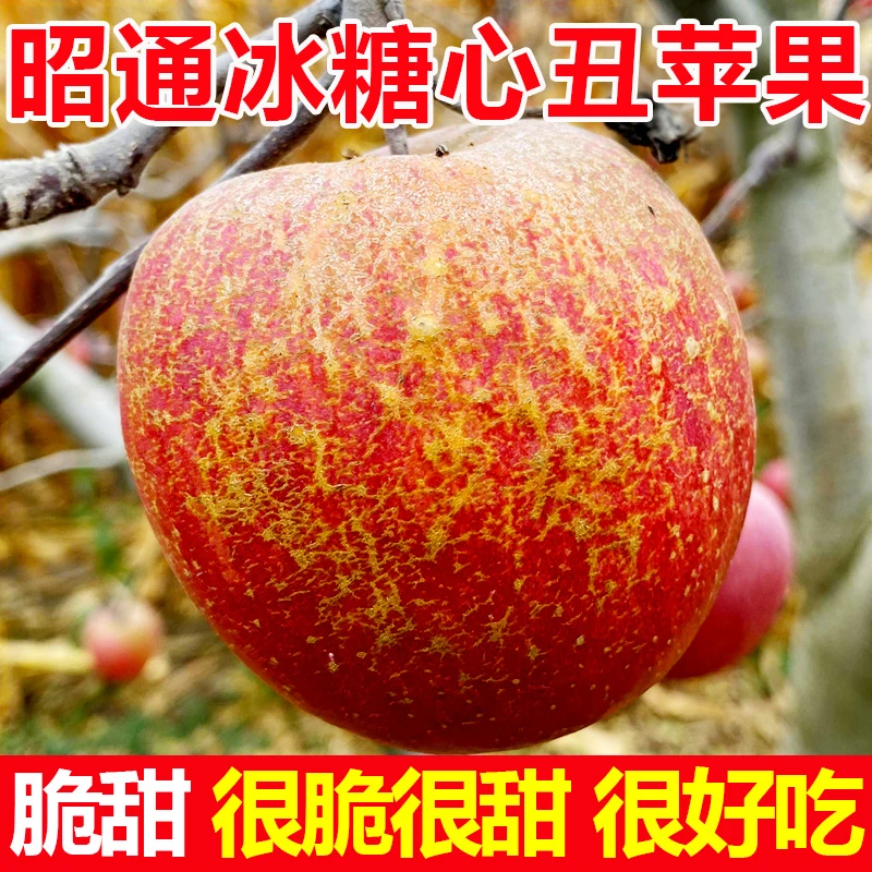 9斤云南昭通冰糖心丑苹果脆甜当季苹果现摘新鲜水果整箱现货
