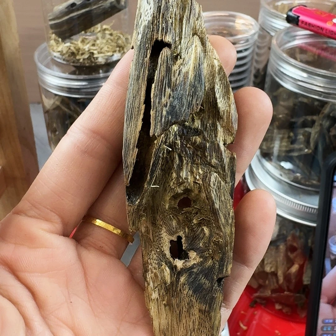 香料绿奇楠虫漏乌身圆叶11克