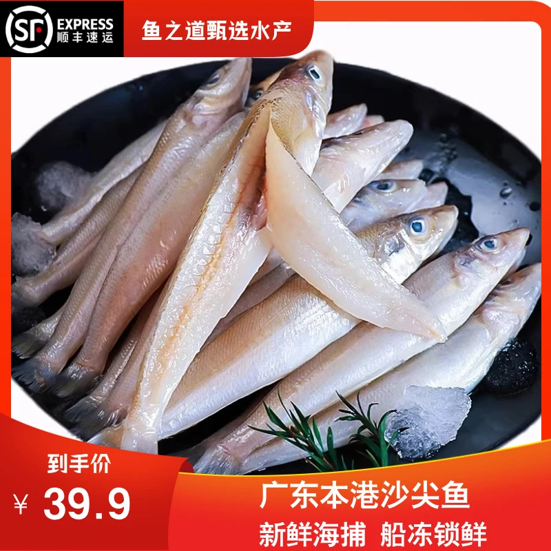 开海季新鲜沙丁沙尖梭子鱼低脂鲜嫩真空包装斤顺丰高蛋白美味