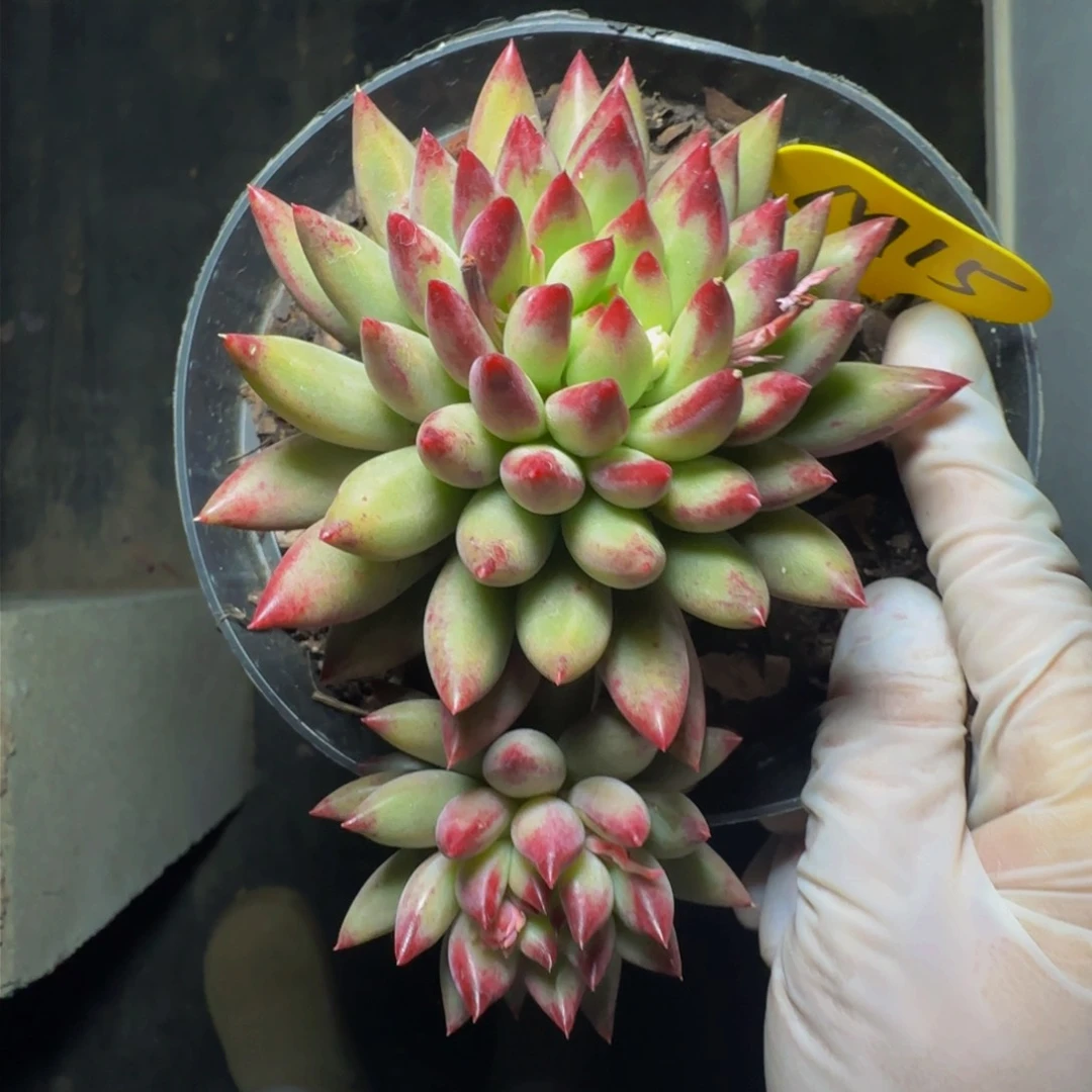 m m m m m m m m 15