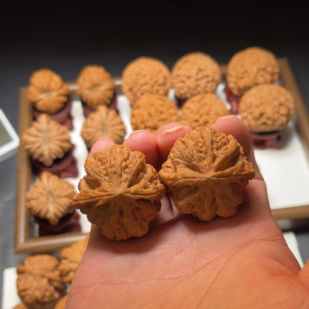 文玩核桃把件米字鼎大粗筋核桃尺寸41