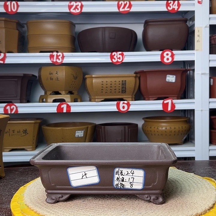 紫砂花盆蛇年大吉