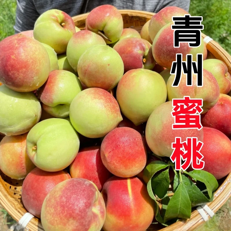 【张书记专属】青州蜜桃新鲜采摘脆甜离核红心毛桃冬雪蜜桃应季水果