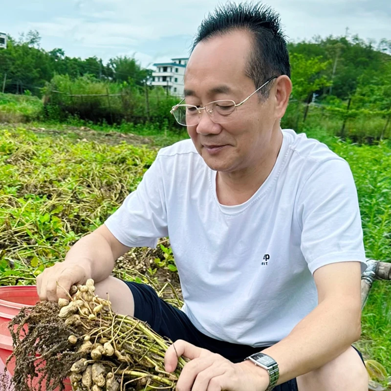 梅州2025年新货农家水煮花生咸干晒干盐水花生咸味香韧有嚼劲
