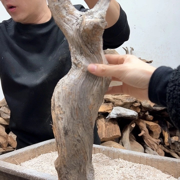 柏木小*文玩的很开心啊哈哈啊