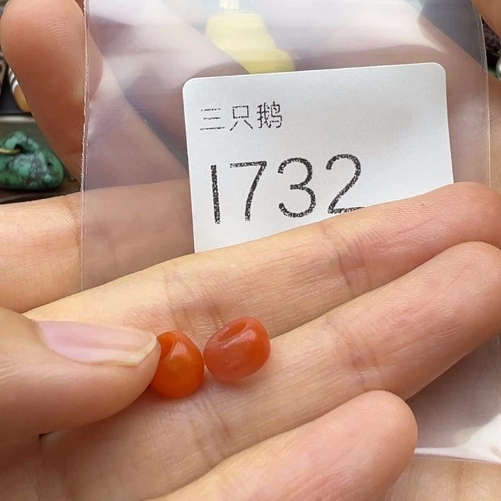 吊坠菩提根/象牙果