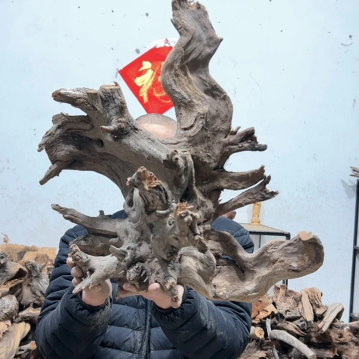 柏木厦****。我们的生活是以自己