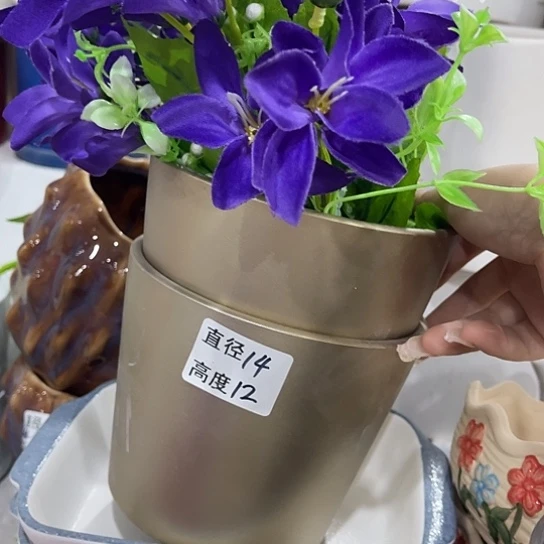 多肉绿植陶瓷花盆9.9包邮，有孔