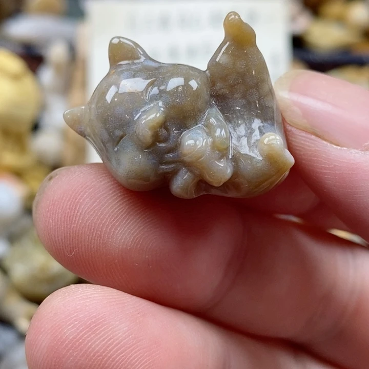 颈饰未镶嵌硅化珊瑚（珊瑚玉）小摆件