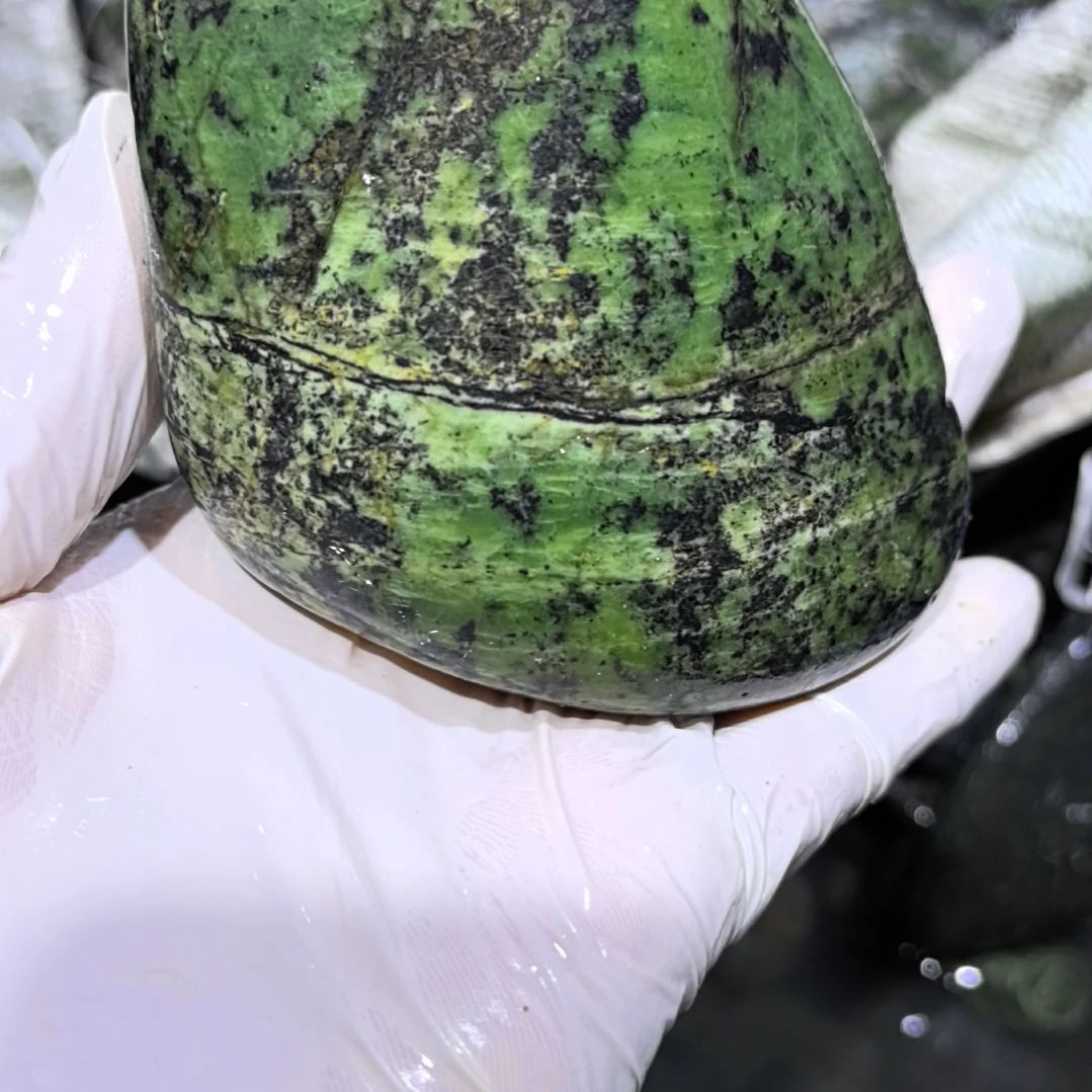 六***F藏玉药王石原石一个