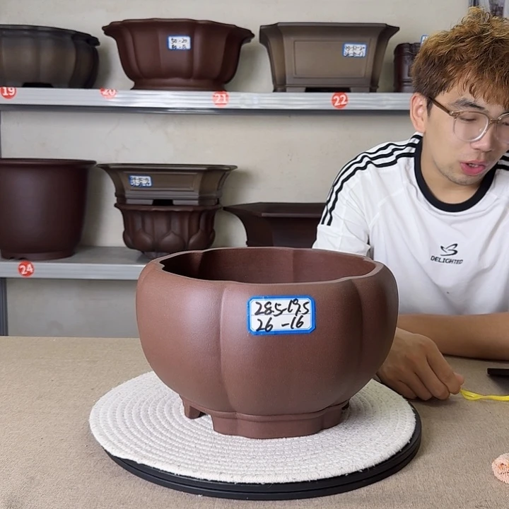 紫砂花盆紫砂花茶