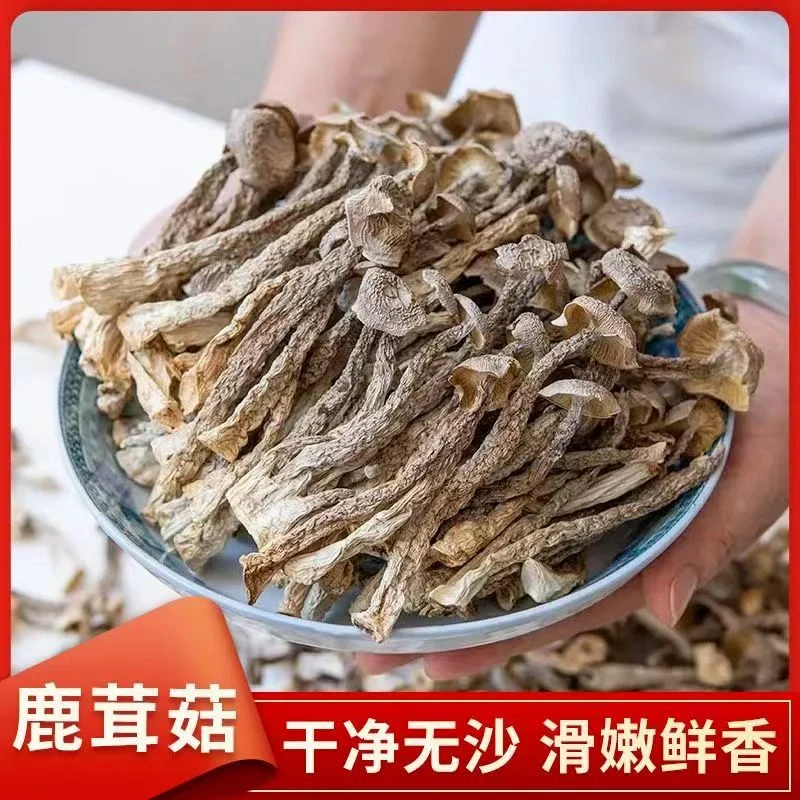 嫩仔鹿茸菇【拍3件发4包】拍3件以上多送1包高山嫩仔鹿茸菇30g/包