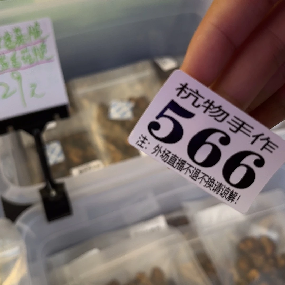 X***A566江南哈哈哈哈哈哈哈