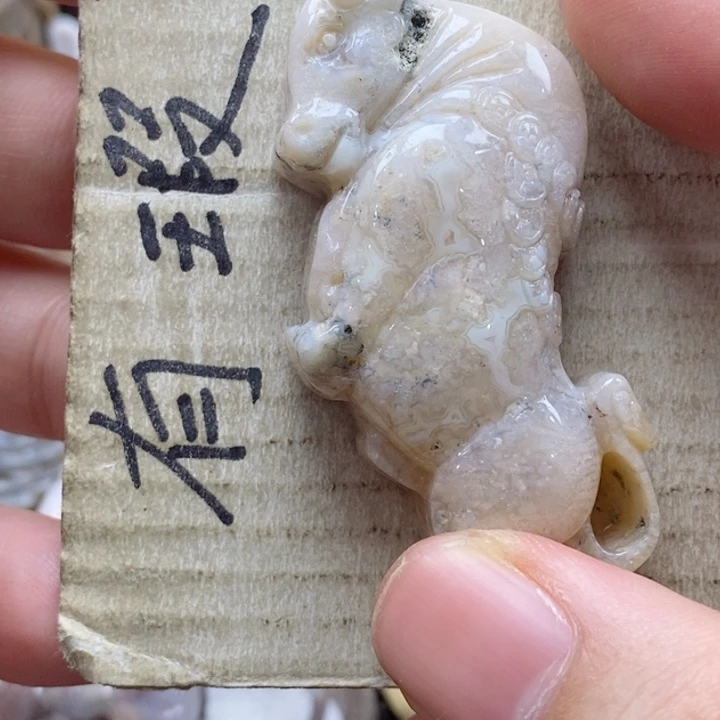 硅化珊瑚（珊瑚玉）颈饰未镶嵌