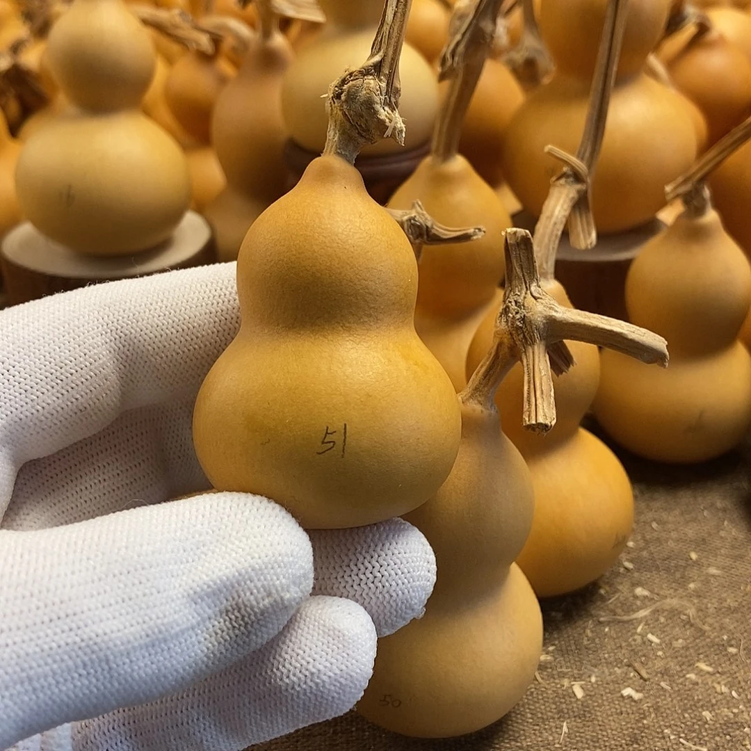 文玩葫芦 完美主义者 慎拍51