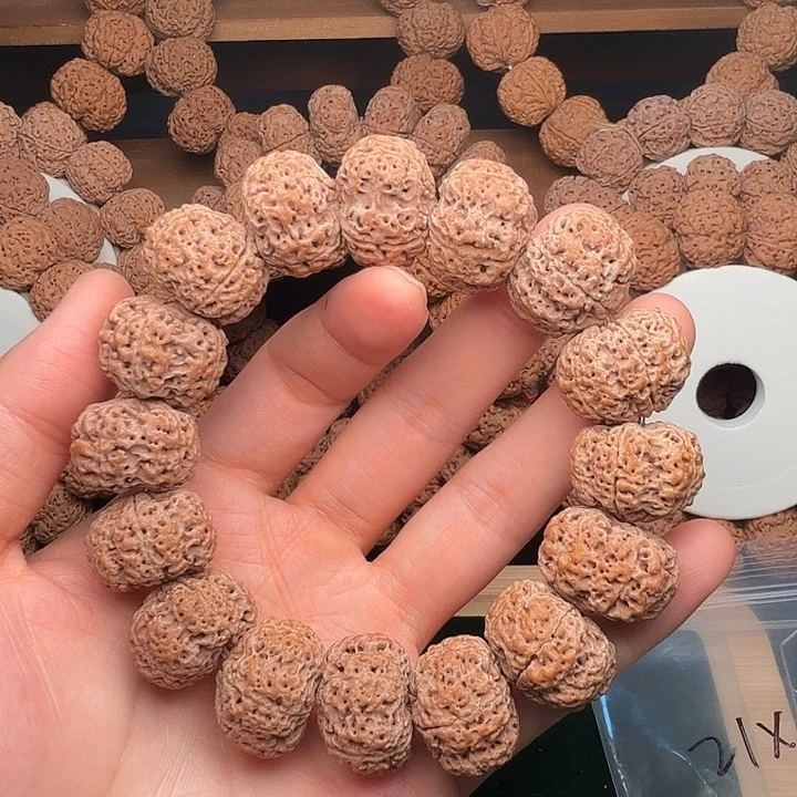 金刚菩提手串金刚菩提