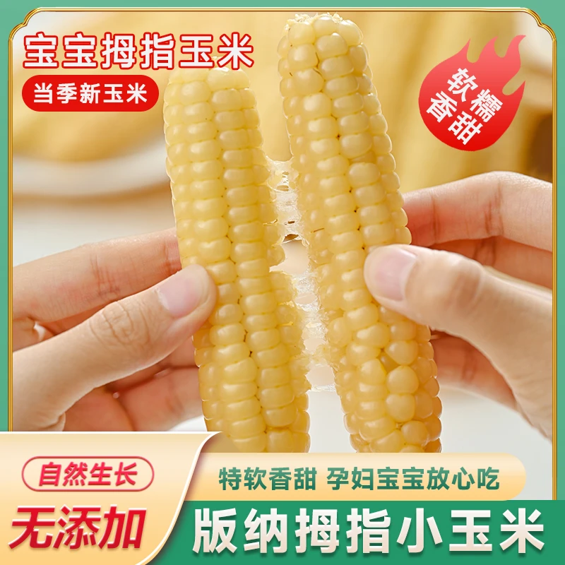 云南西双版纳拇指小玉米宝宝辅食甜糯玉米云南傣家拇指玉米真空