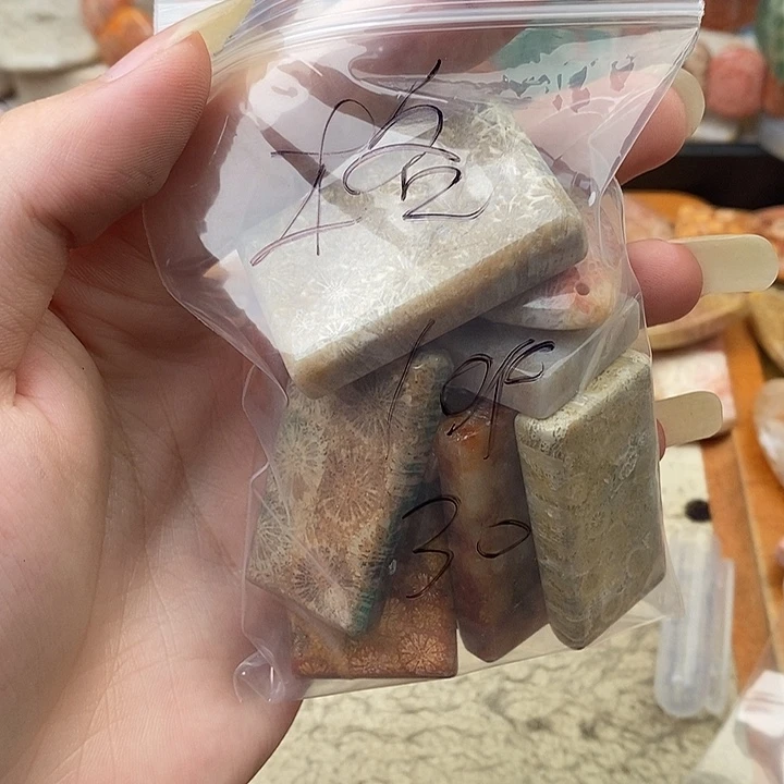 木****硅化玉（树化玉）未镶嵌颈饰