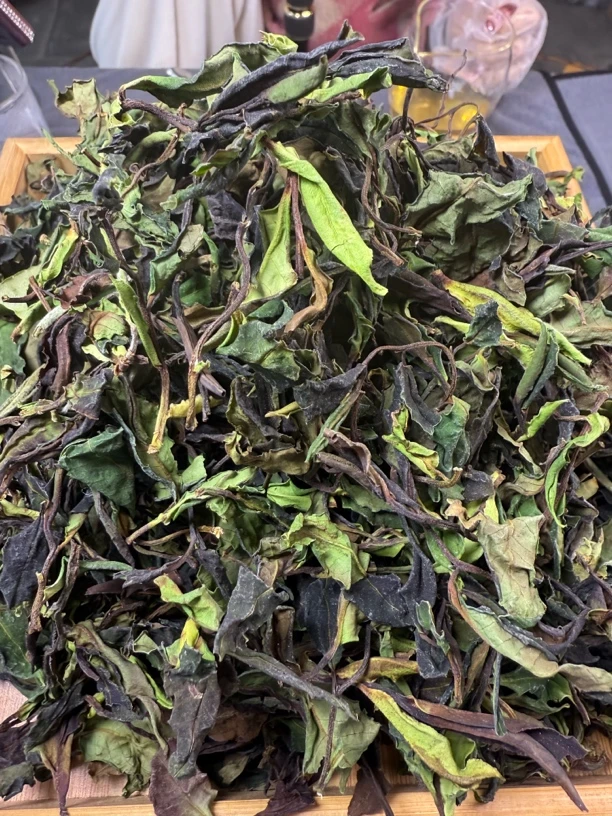 星火推荐～云南腾冲2025年头春头采，野生古树白茶