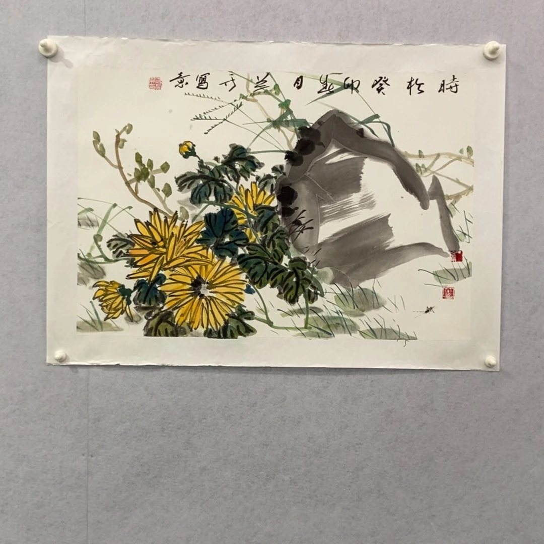 国画墨鱼精品墨鱼精品