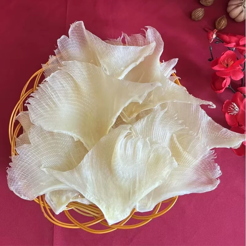 【永樂行】广西北海20头浦鱼干翅