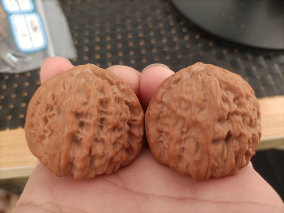老树白狮子文玩核桃头