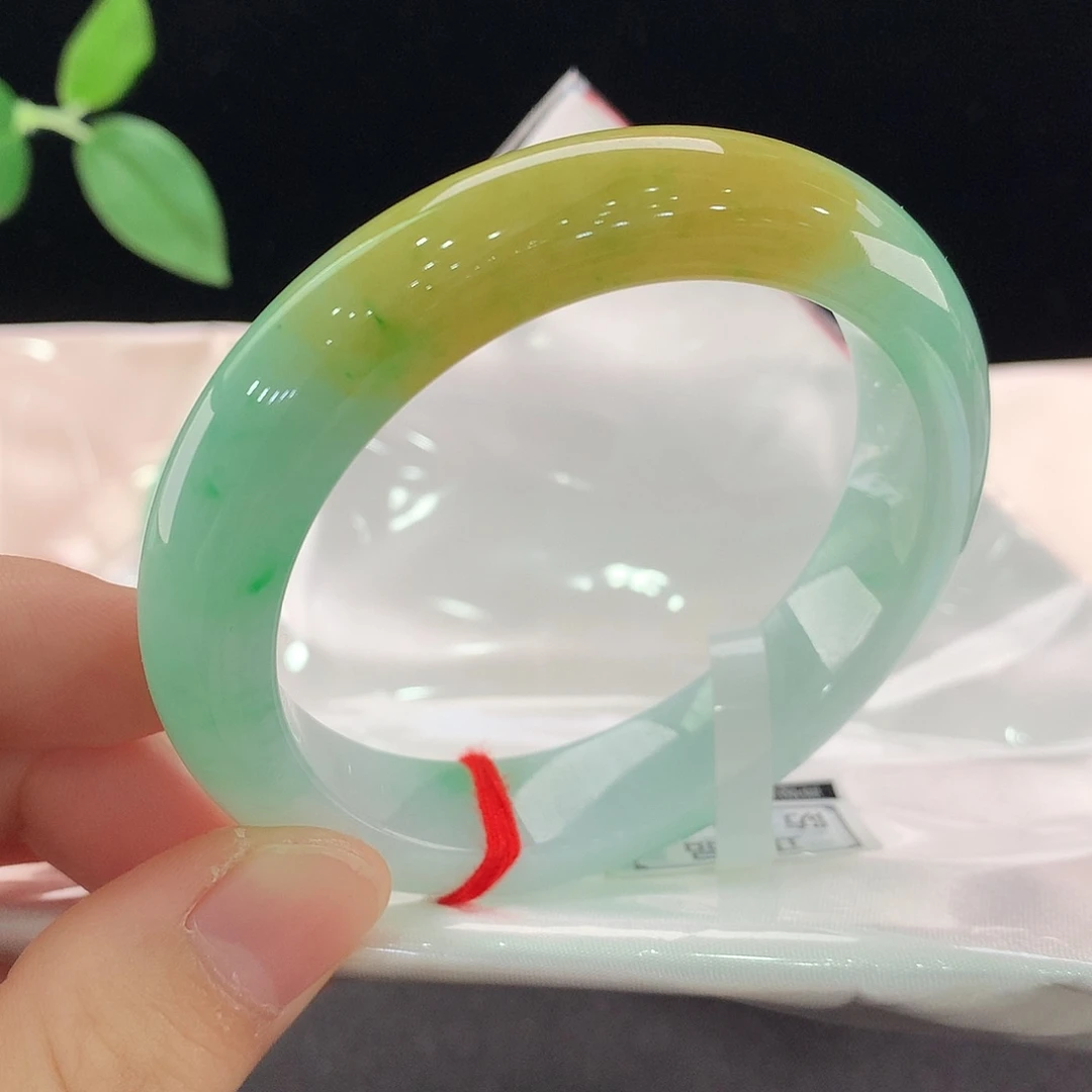 未镶嵌手镯翡翠0299