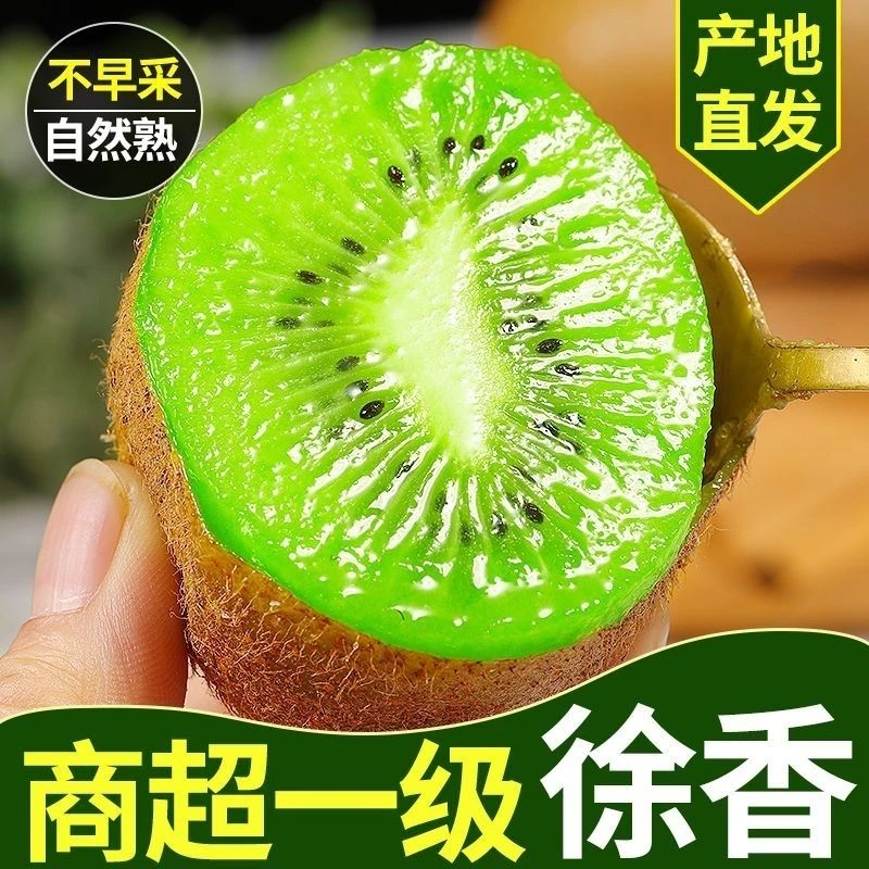 【催熟放软食用】陕西徐香猕猴桃当季鲜果奇异果新鲜包邮