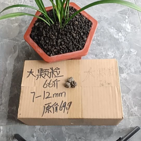 努***宝兰菌黑山土大颗粒6.6斤