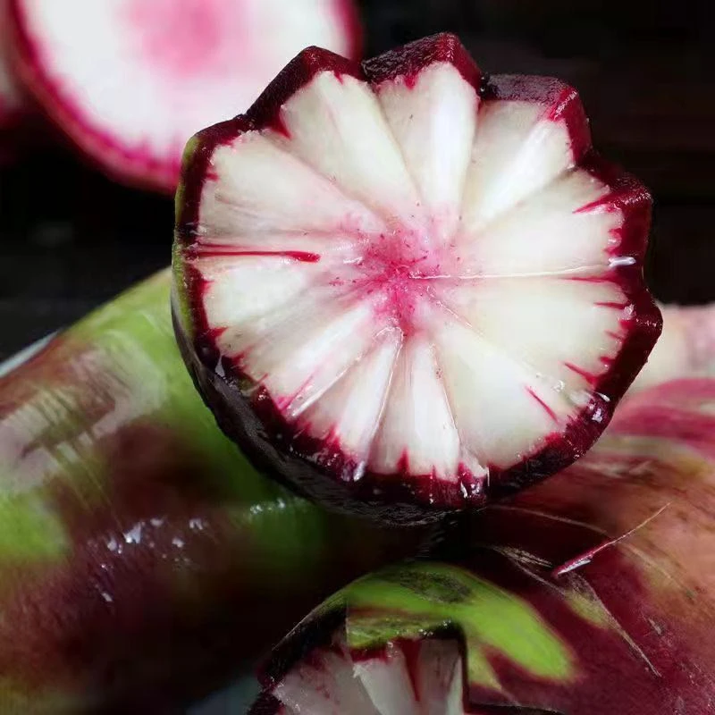 可生吃的网红黑冰淇淋萝卜